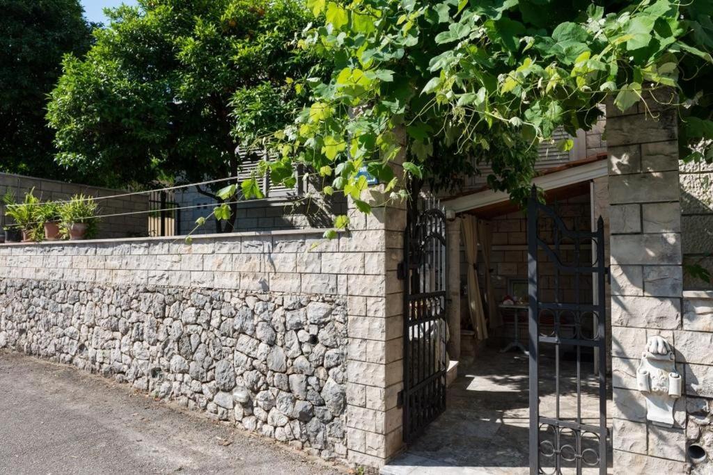 Apartment Wild Orange Dubrovnik Ngoại thất bức ảnh